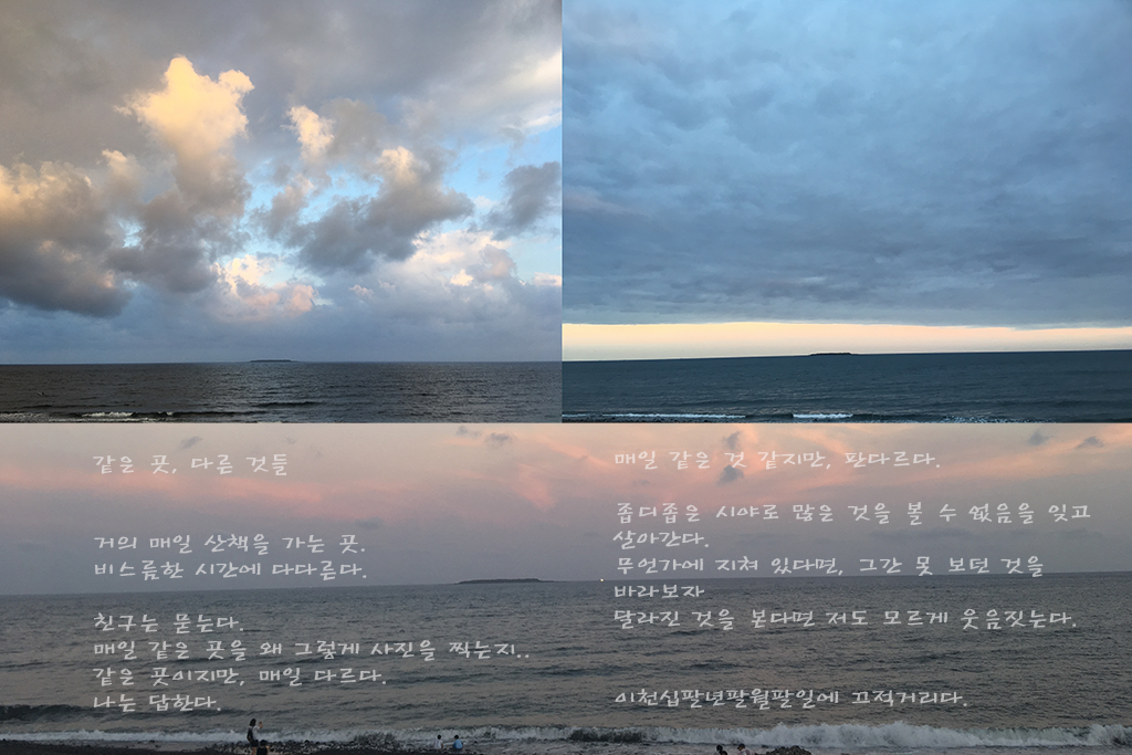 같은곳, 다른것들